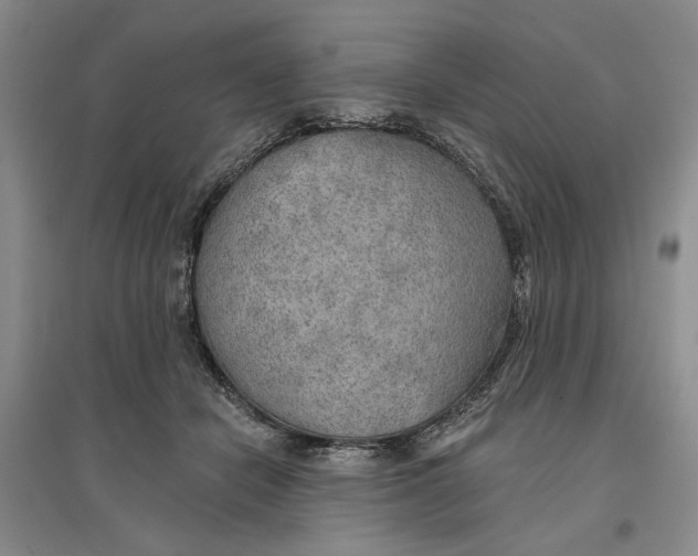 X0000096690462200802261545