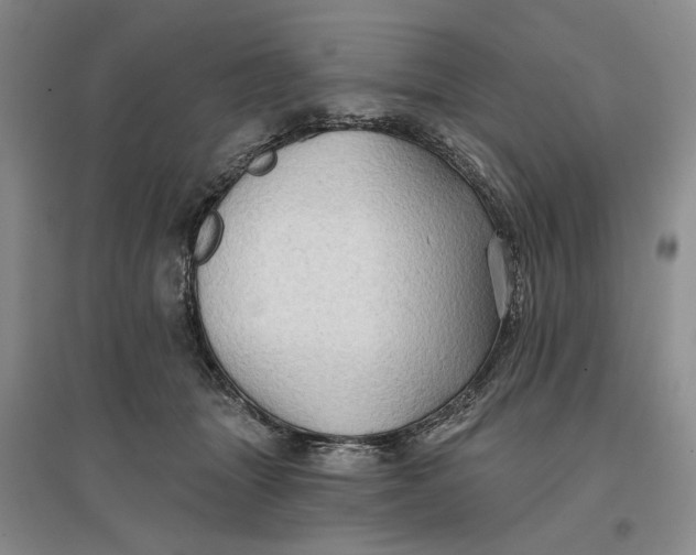 X0000096690463200802261545