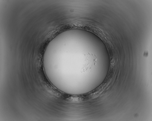 X0000096690464200802261545