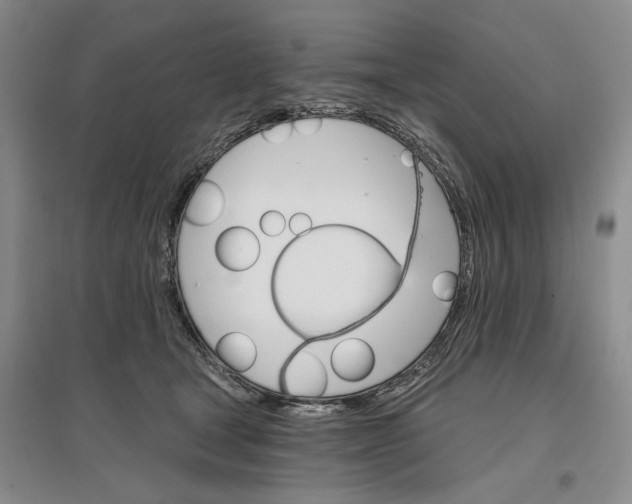 X0000096690465200802261545