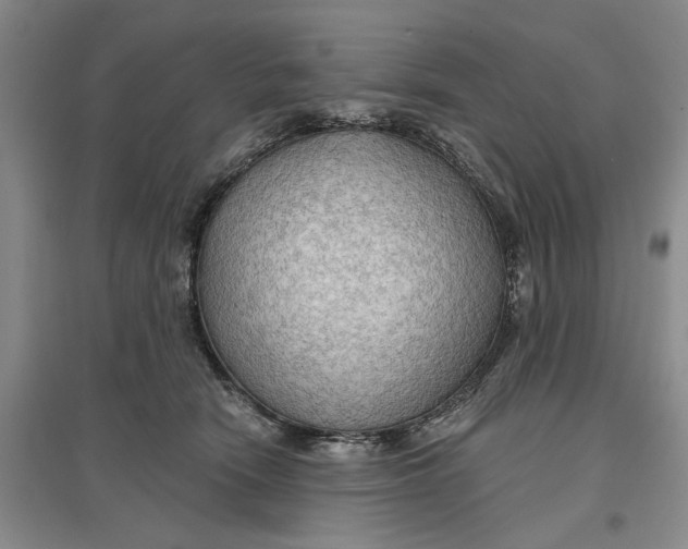 X0000096690466200802261545