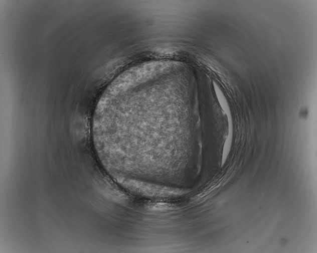 X0000096690467200802261545