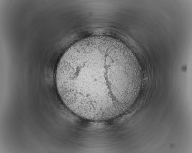 X0000096690469200802261545