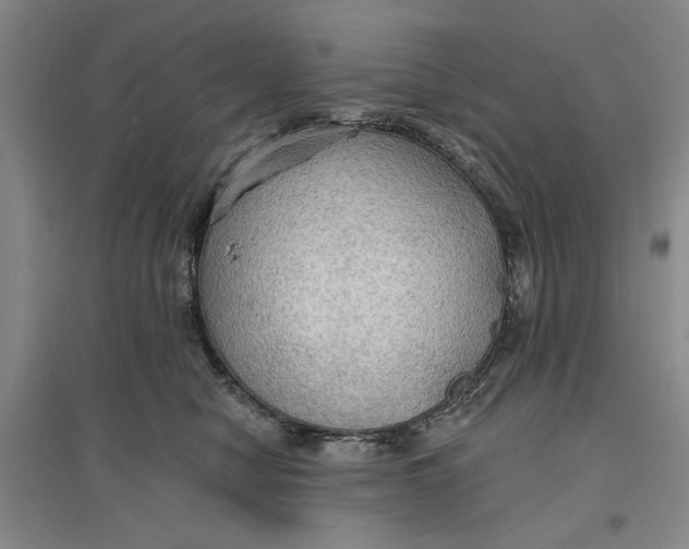 X0000096690470200802261545