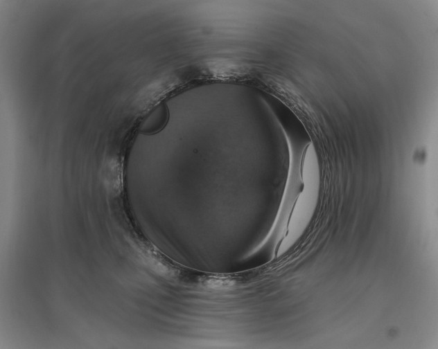 X0000096690471200802261545