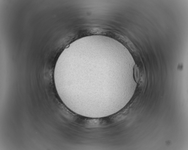 X0000096690473200802261545