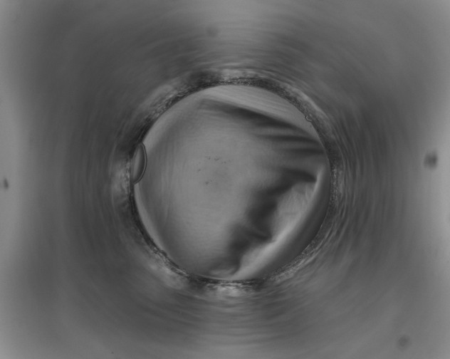 X0000096690475200802261545