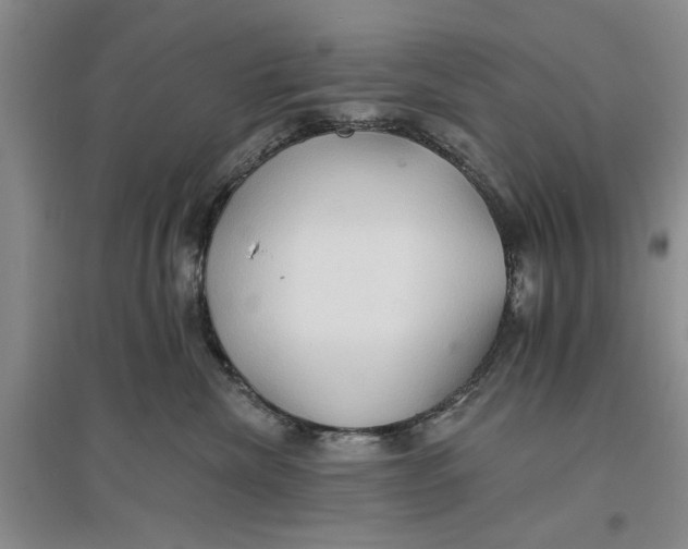 X0000096690476200802261545