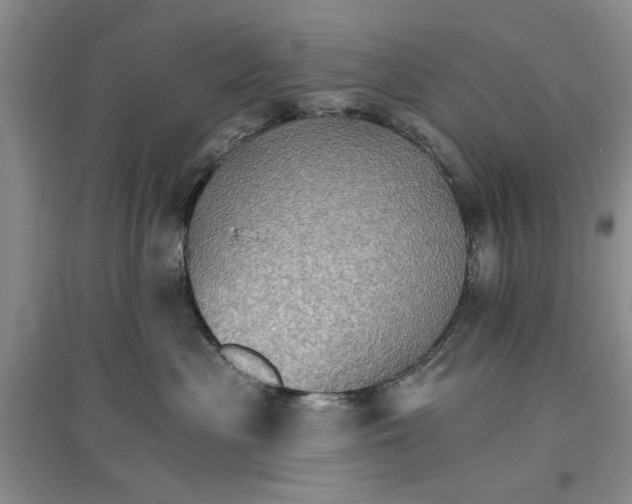 X0000096690477200802261545