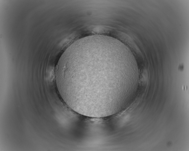 X0000096690478200802261545