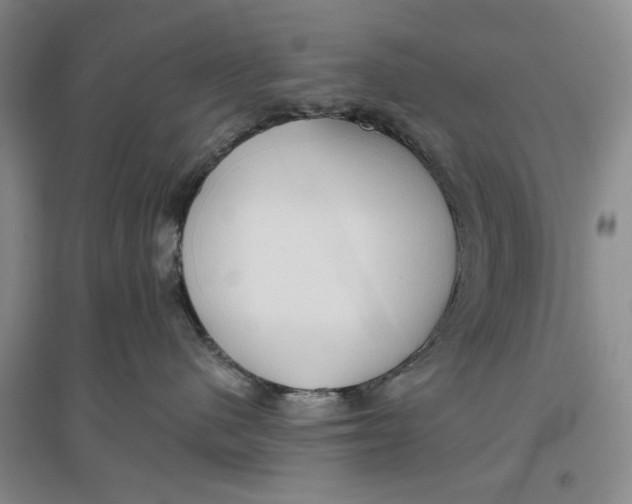 X0000096690480200802261545