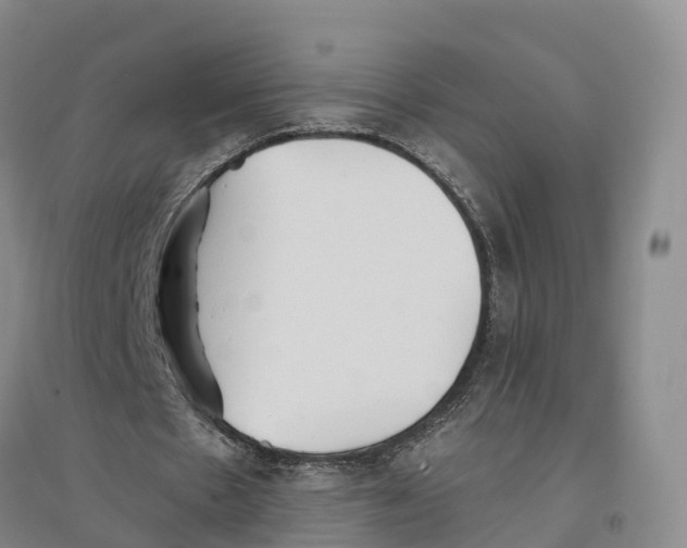 X0000096690481200802261544