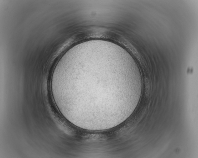 X0000096690482200802261544