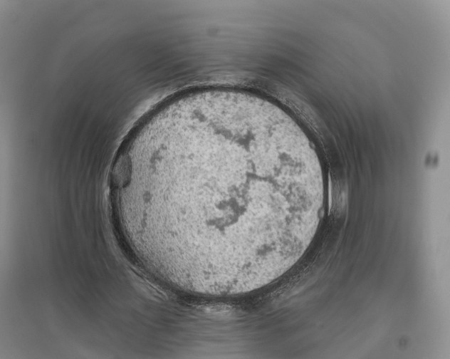 X0000096690483200802261544