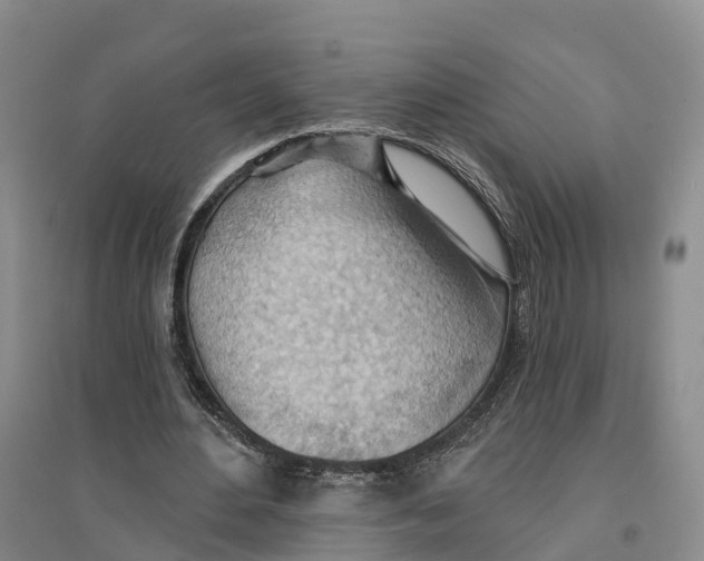 X0000096690484200802261544