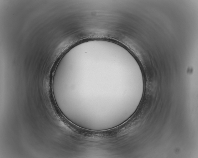 X0000096690485200802261544