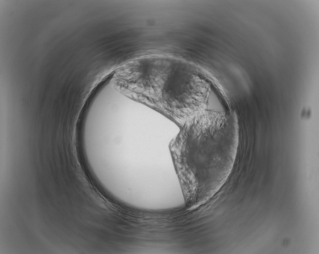 X0000096690487200802261544