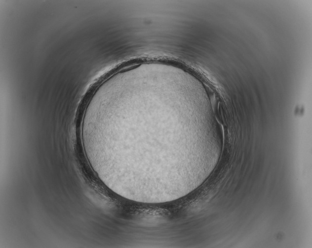 X0000096690488200802261544