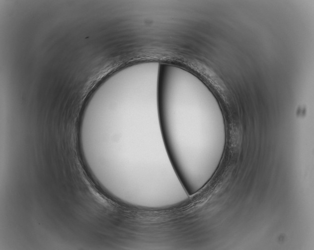 X0000096690489200802261544