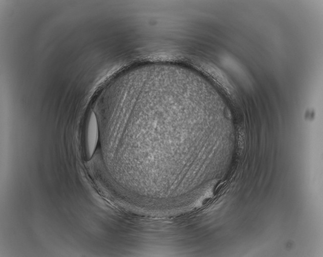 X0000096690491200802261544