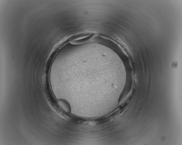 X0000096690492200802261544