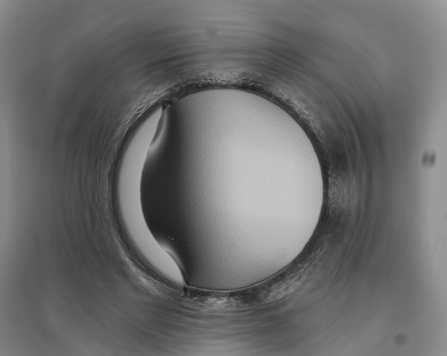 X0000096690493200802261544