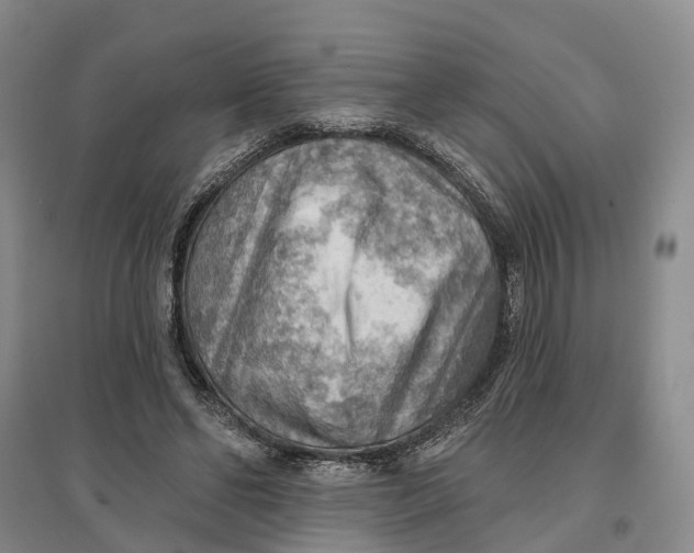 X0000096690494200802261544