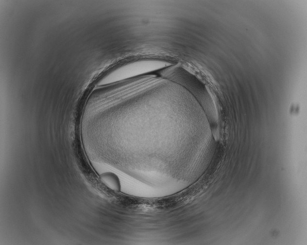 X0000096690496200802261544