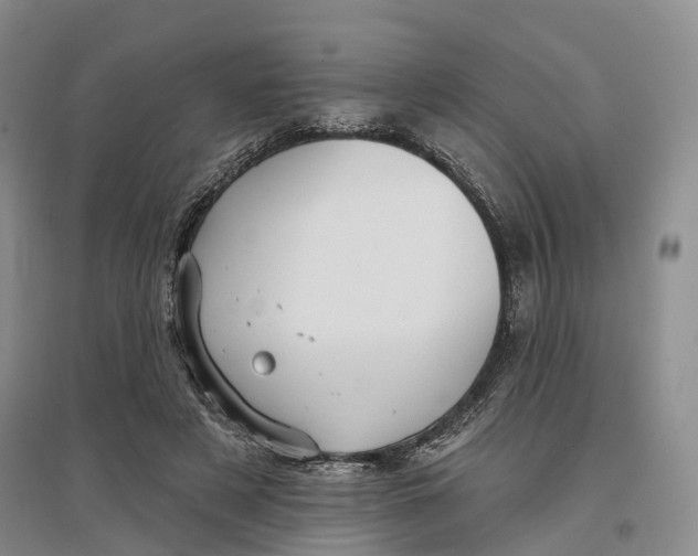 X0000096690497200802261544