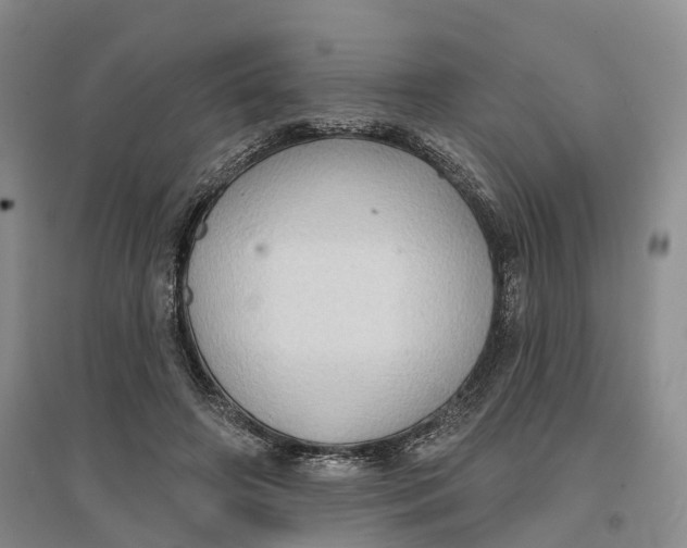 X0000096690498200802261544