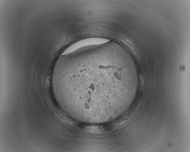 X0000096690499200802261544