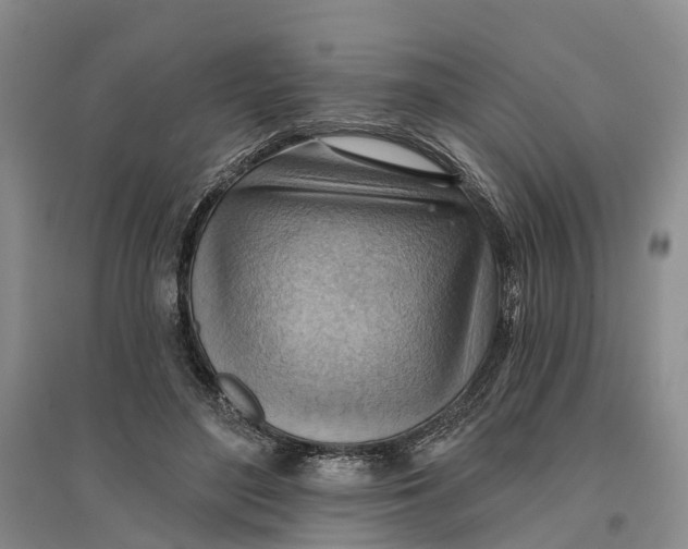 X0000096690500200802261544