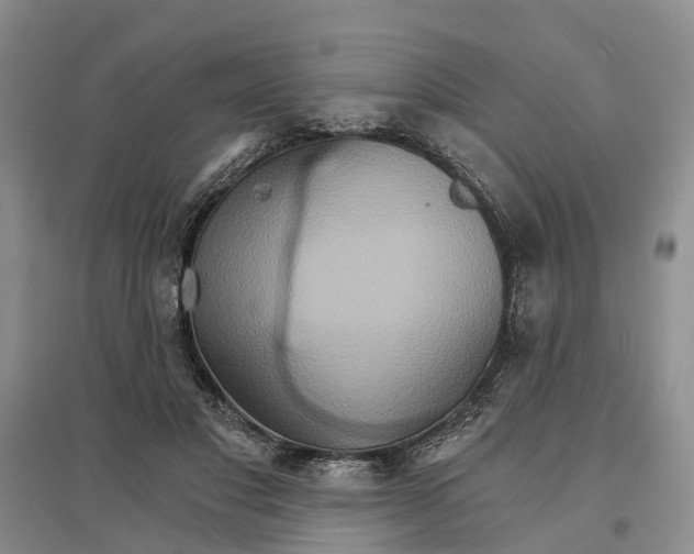 X0000096690501200802261544