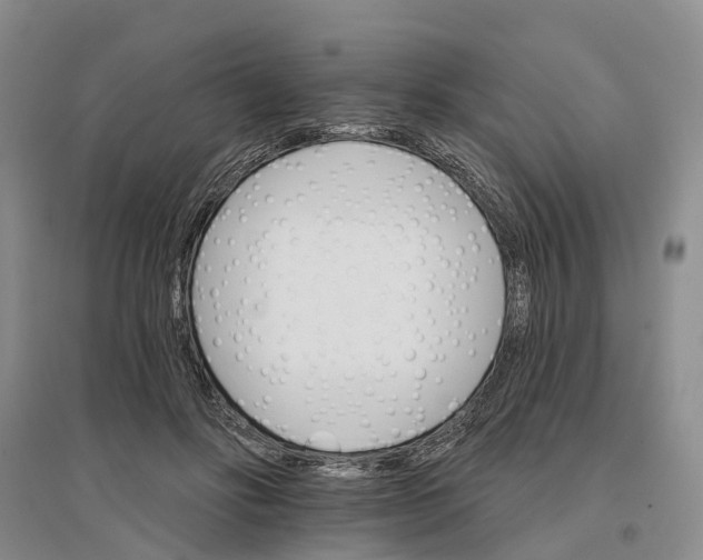 X0000096690502200802261544