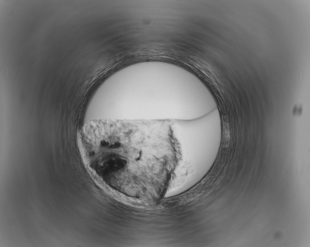 X0000096690503200802261544