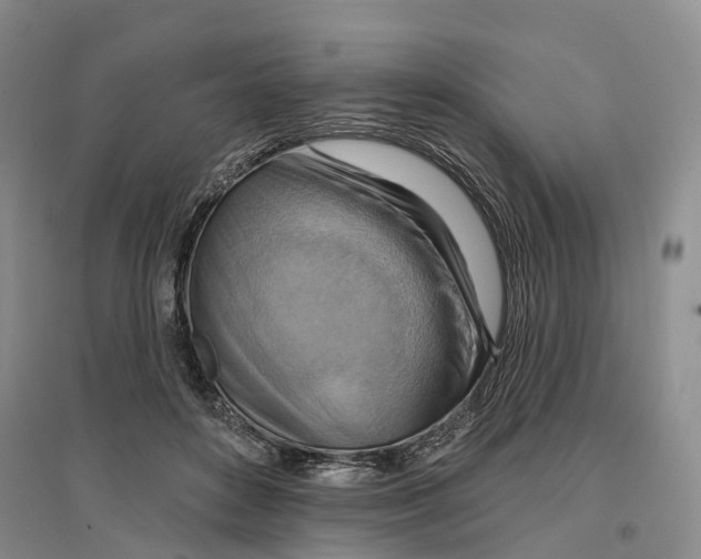 X0000096690504200802261544