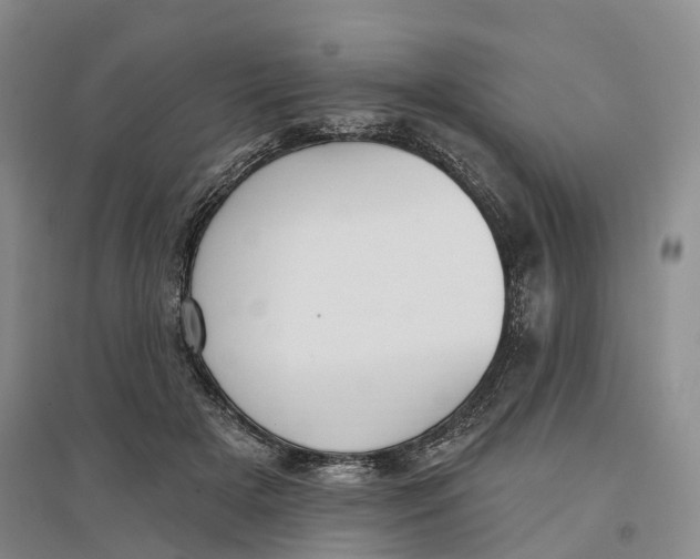 X0000096690505200802261544