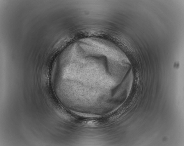 X0000096690506200802261544