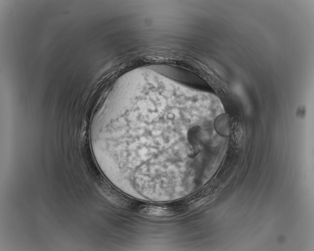 X0000096690507200802261544