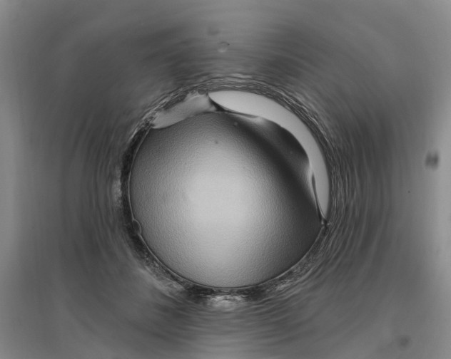 X0000096690508200802261544