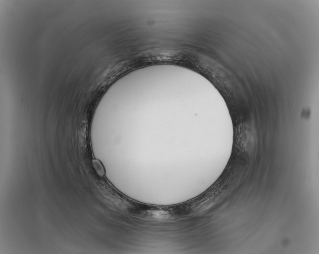 X0000096690509200802261544