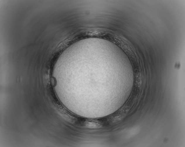 X0000096690510200802261544