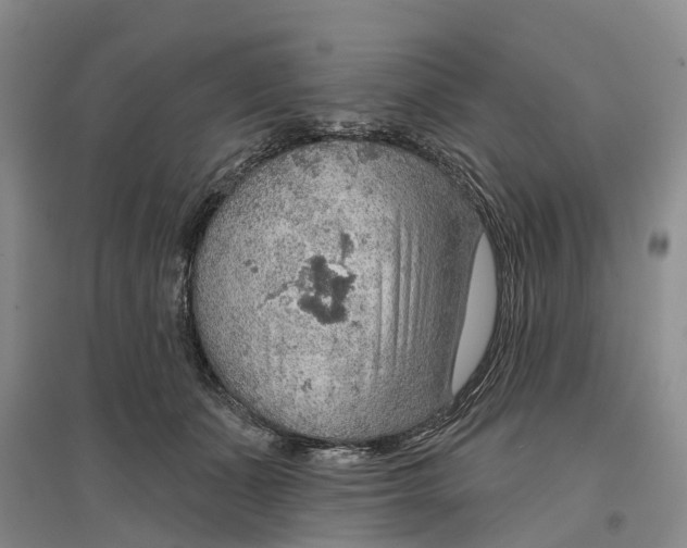 X0000096690511200802261544