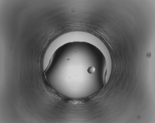 X0000096690512200802261544