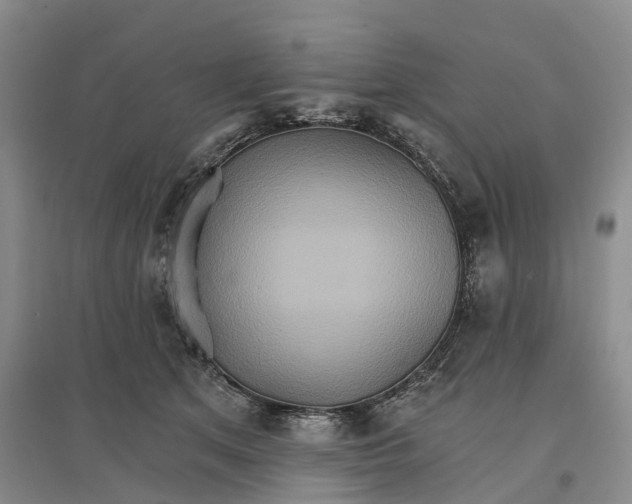 X0000096690513200802261544