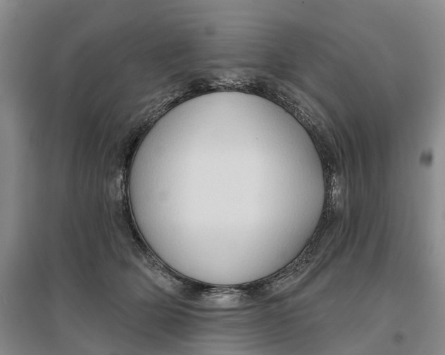 X0000096690514200802261544