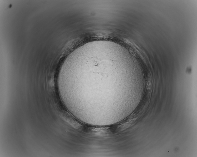 X0000096690516200802261544