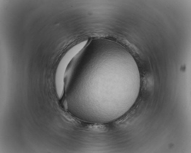 X0000096690517200802261543