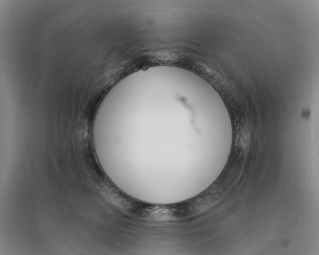 X0000096690518200802261543