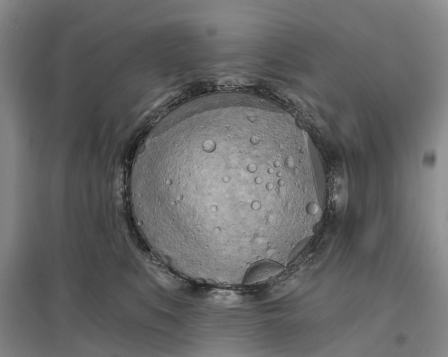 X0000096690519200802261543